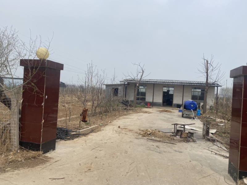 种植基地对外招租