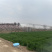种植基地对外招租
