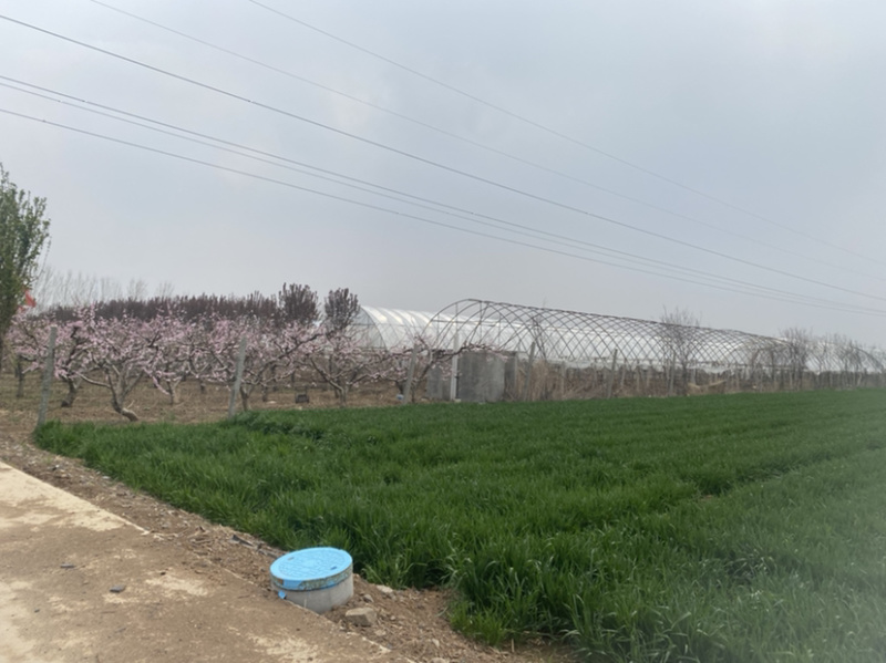种植基地对外招租