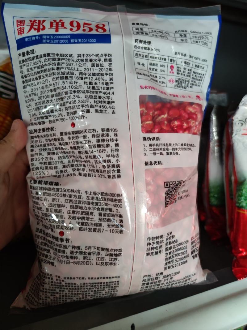 国审郑单958玉米种子，3000粒
