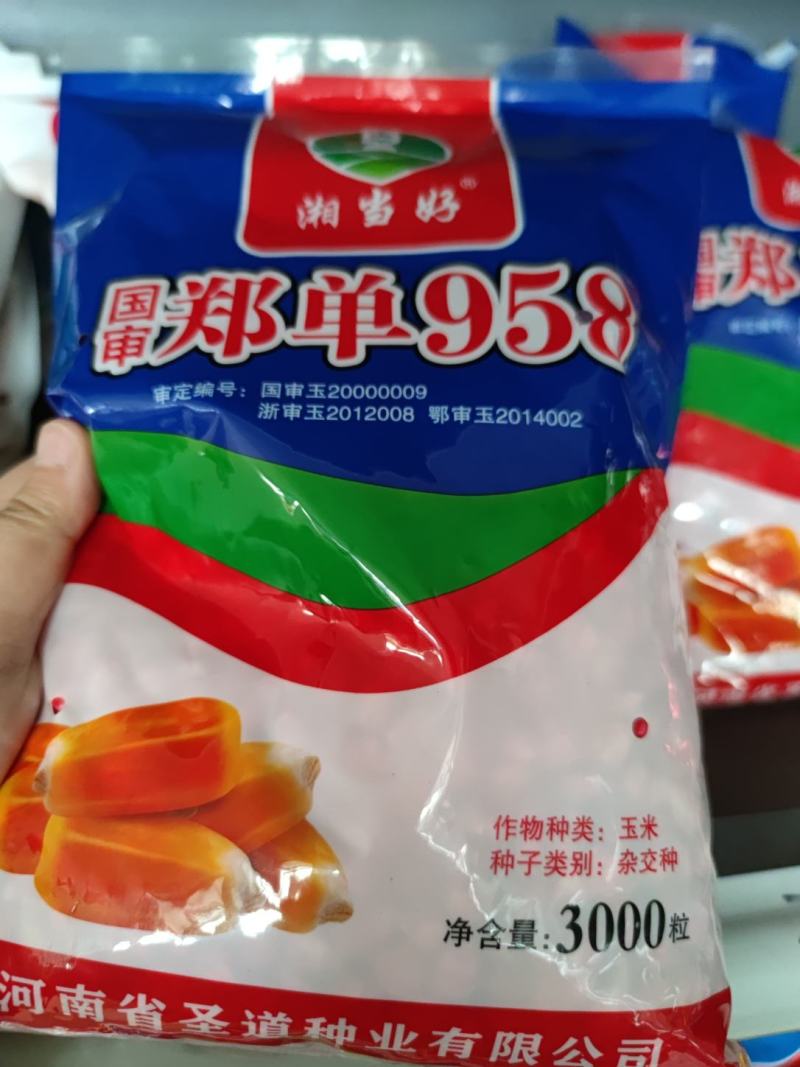 国审郑单958玉米种子，3000粒
