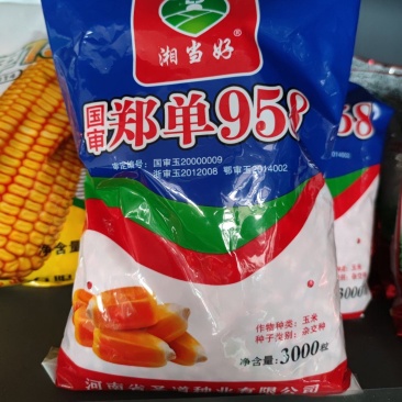 国审郑单958玉米种子，3000粒