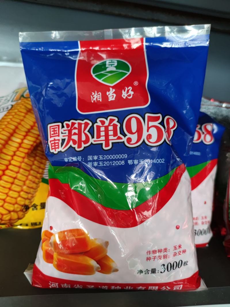 国审郑单958玉米种子，3000粒