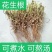 21年滑明森家花生根茎杆梗花生的根农家自产花生棵花生