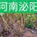 21年滑明森家花生根茎杆梗花生的根农家自产花生棵花生