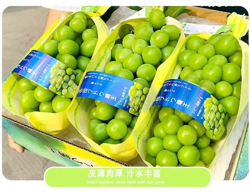 阳光玫瑰葡萄产地直发商超电商专业团队实力供货商