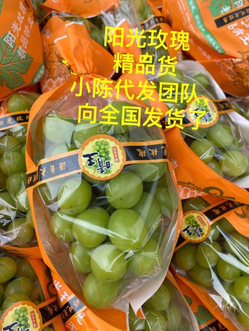 阳光玫瑰葡萄产地直发商超电商专业团队实力供货商