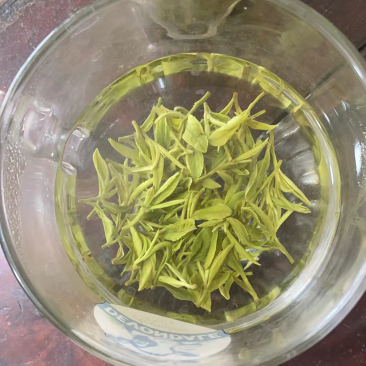 碧螺春