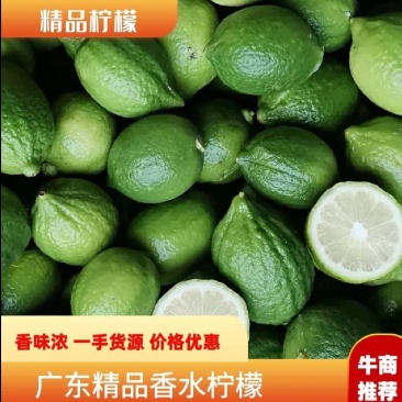 广东无籽香水柠檬产地直发