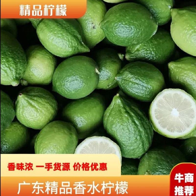 广东无籽香水柠檬产地直发