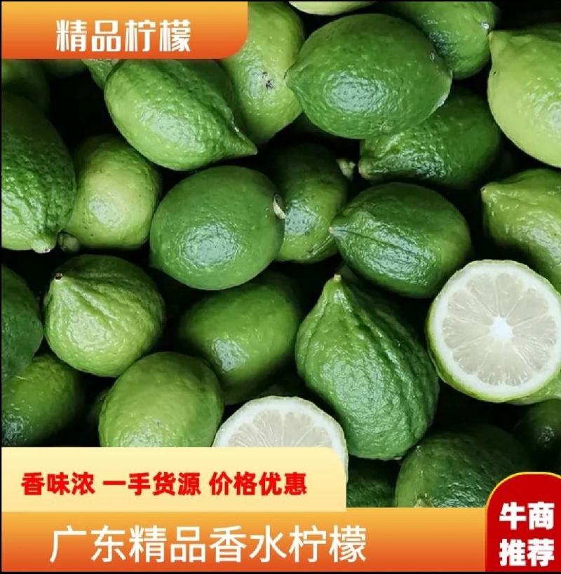 广东无籽香水柠檬产地直发
