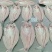 干冰开背巴沙鱼18kg18条