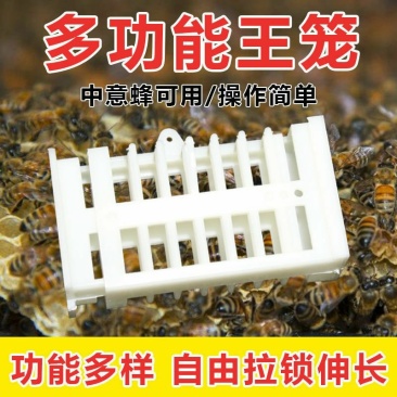 王笼中蜂多功能蜂王笼中意蜂通用囚王笼中蜂蜂具王笼
