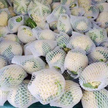 精品云南松花