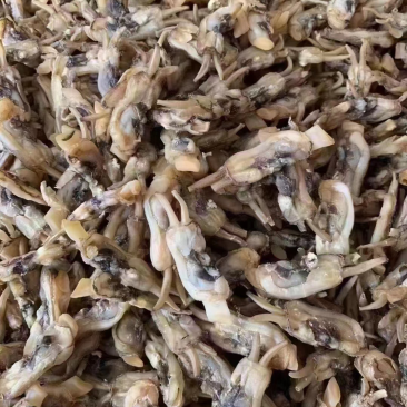 蛏干沙少，去湿气，煲汤，炖猪肚，汤甜！