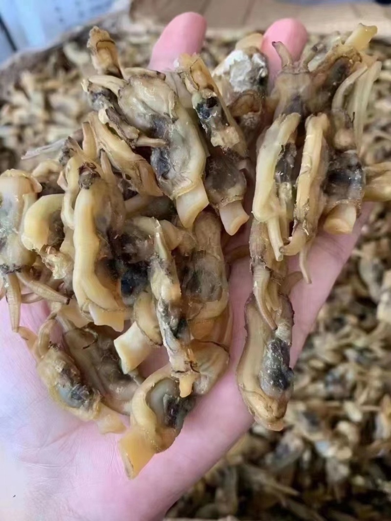 蛏干沙少，去湿气，煲汤，炖猪肚，汤甜！
