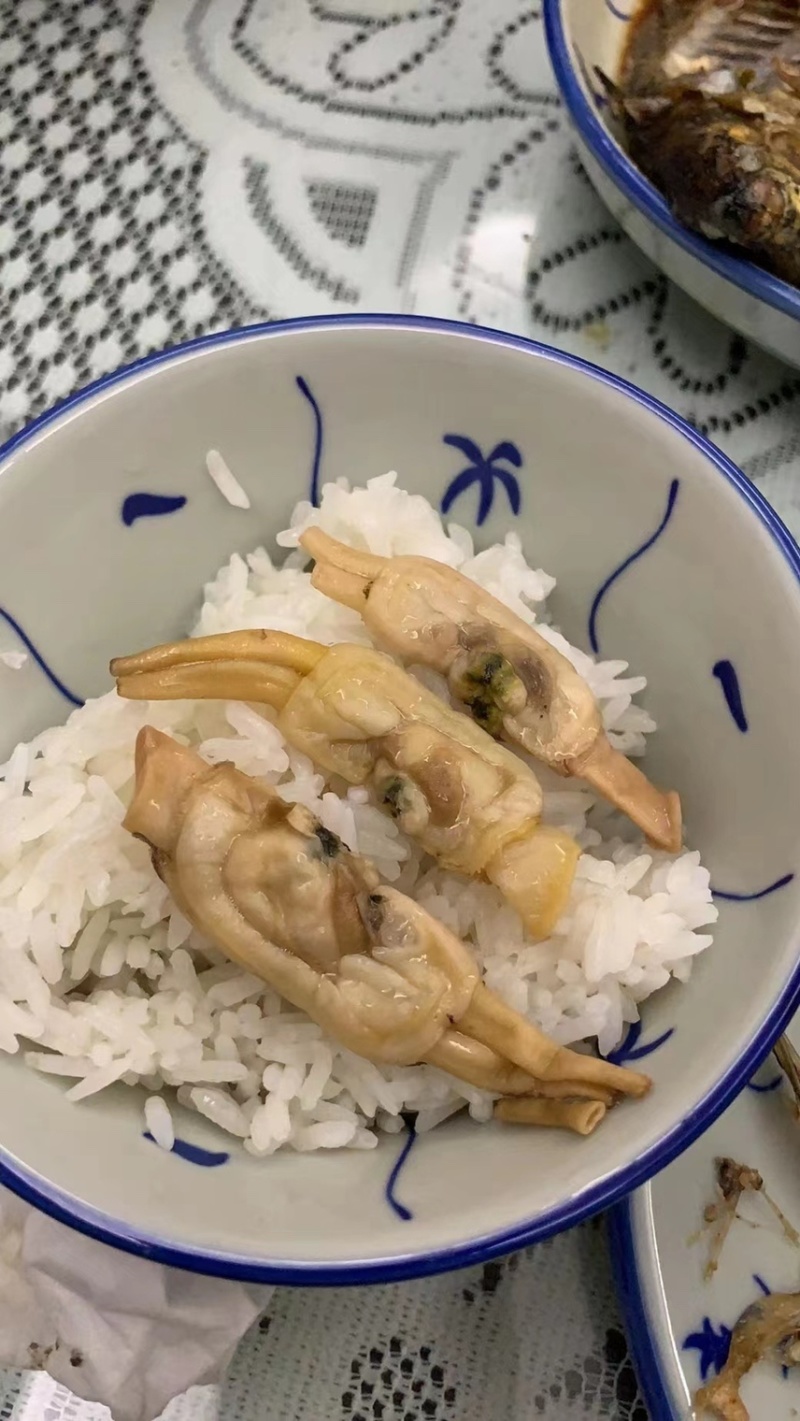 蛏干沙少，去湿气，煲汤，炖猪肚，汤甜！