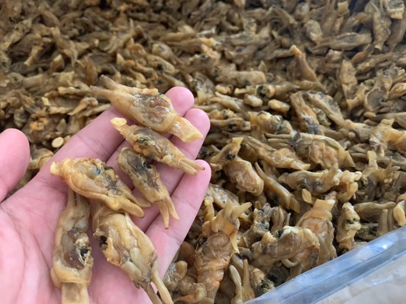 蛏干沙少，去湿气，煲汤，炖猪肚，汤甜！