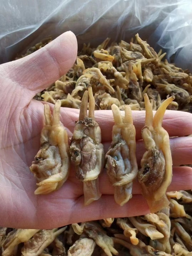 蛏干沙少，去湿气，煲汤，炖猪肚，汤甜！