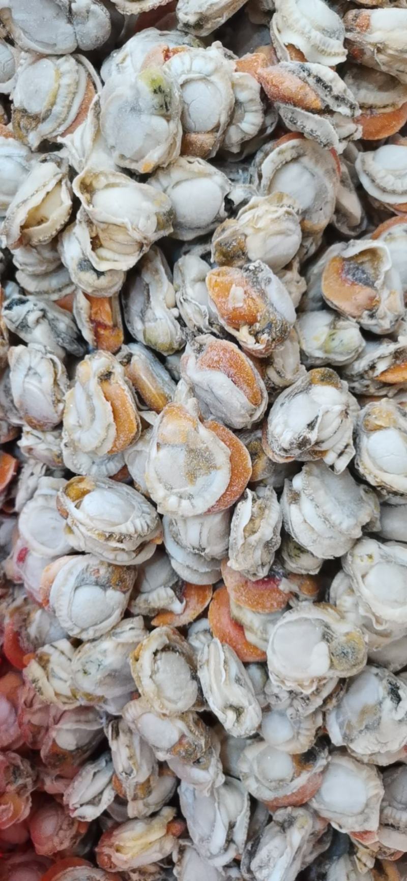 连云港海鲜
