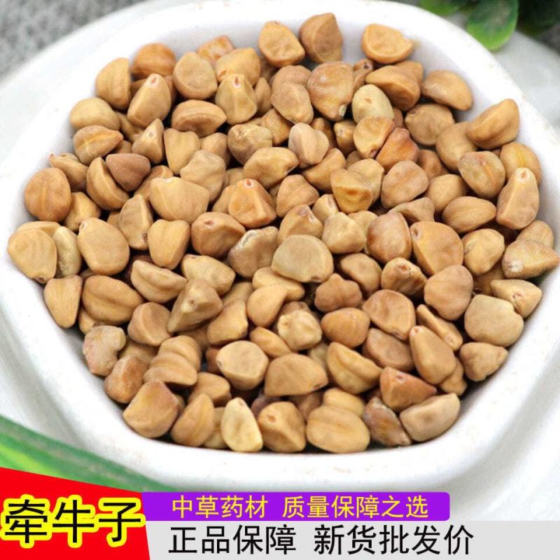 白丑.牵牛子.白牵牛.二丑.中药材喇叭花花籽种子包邮