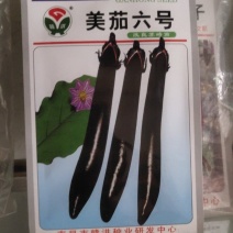 美茄六号，改良苏崎茄，