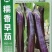 糯香早茄，早熟耐寒品种，口感糯香，