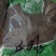 决明子泡茶决明子茶正品炒熟决明子茶优选罐装花草决明配菊花