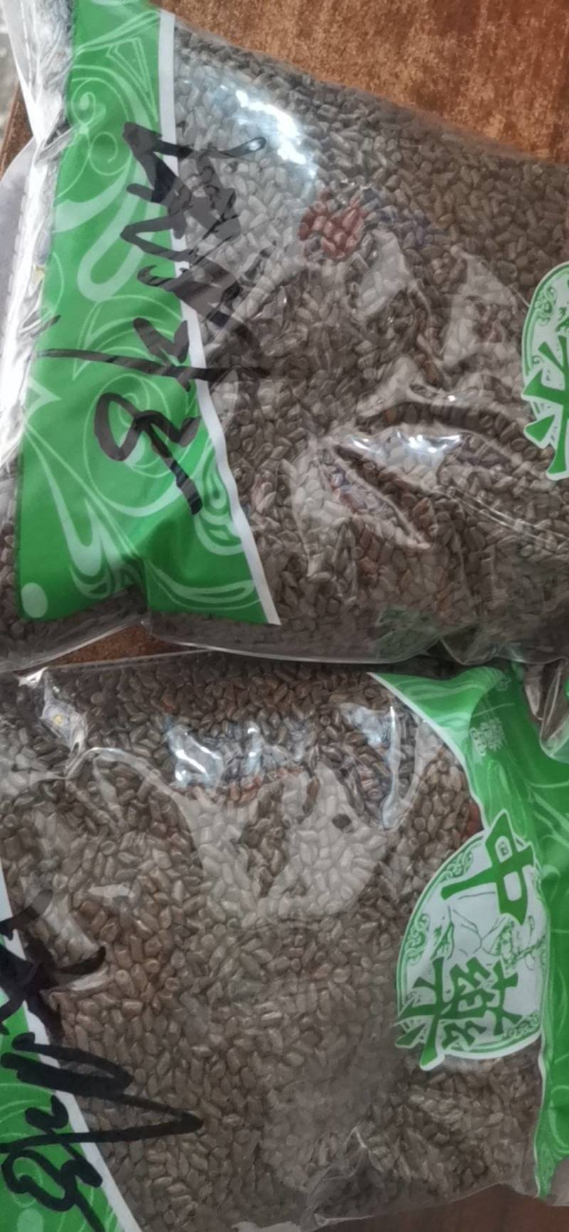 决明子泡茶决明子茶正品炒熟决明子茶优选罐装花草决明配菊花