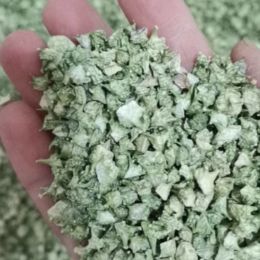 蒺藜，刺蒺藜中药材白蒺藜刺蒺藜硬蒺藜刺七厘蒺骨子