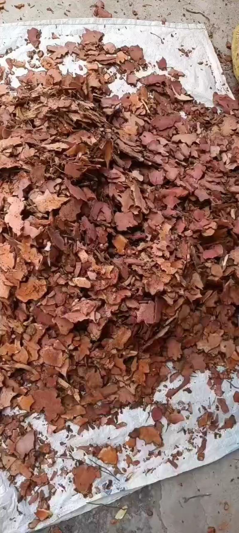 金刚头，大量源产地，接药厂订单，生货干货都有货