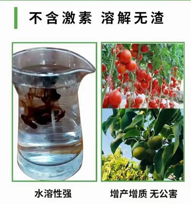矿源黄腐酸钾疏松土壤调节PH值钾含量高壮根壮苗