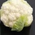 【推荐】秋季松花已大量上市，欢迎新老顾客进店选购。