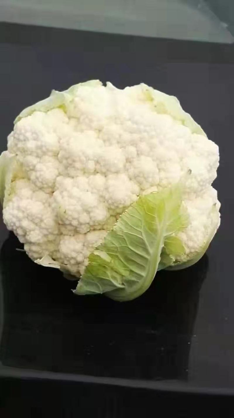 【推荐】秋季松花已大量上市，欢迎新老顾客进店选购。