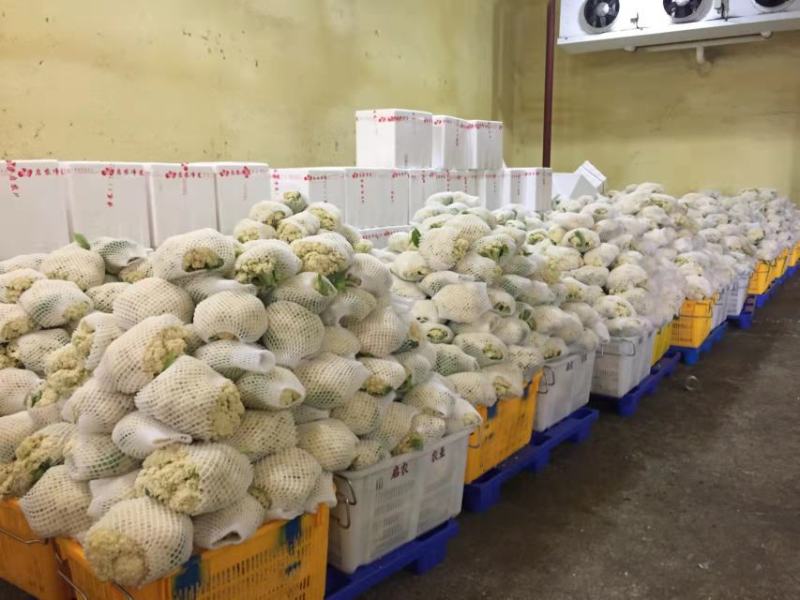【推荐】秋季松花已大量上市，欢迎新老顾客进店选购。