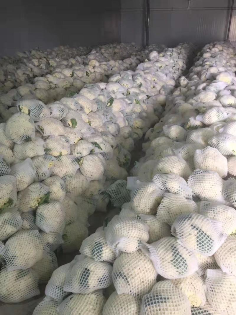 【推荐】秋季松花已大量上市，欢迎新老顾客进店选购。