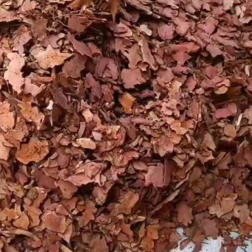金刚头，大量源产地，接药厂订单，生货干货都有货