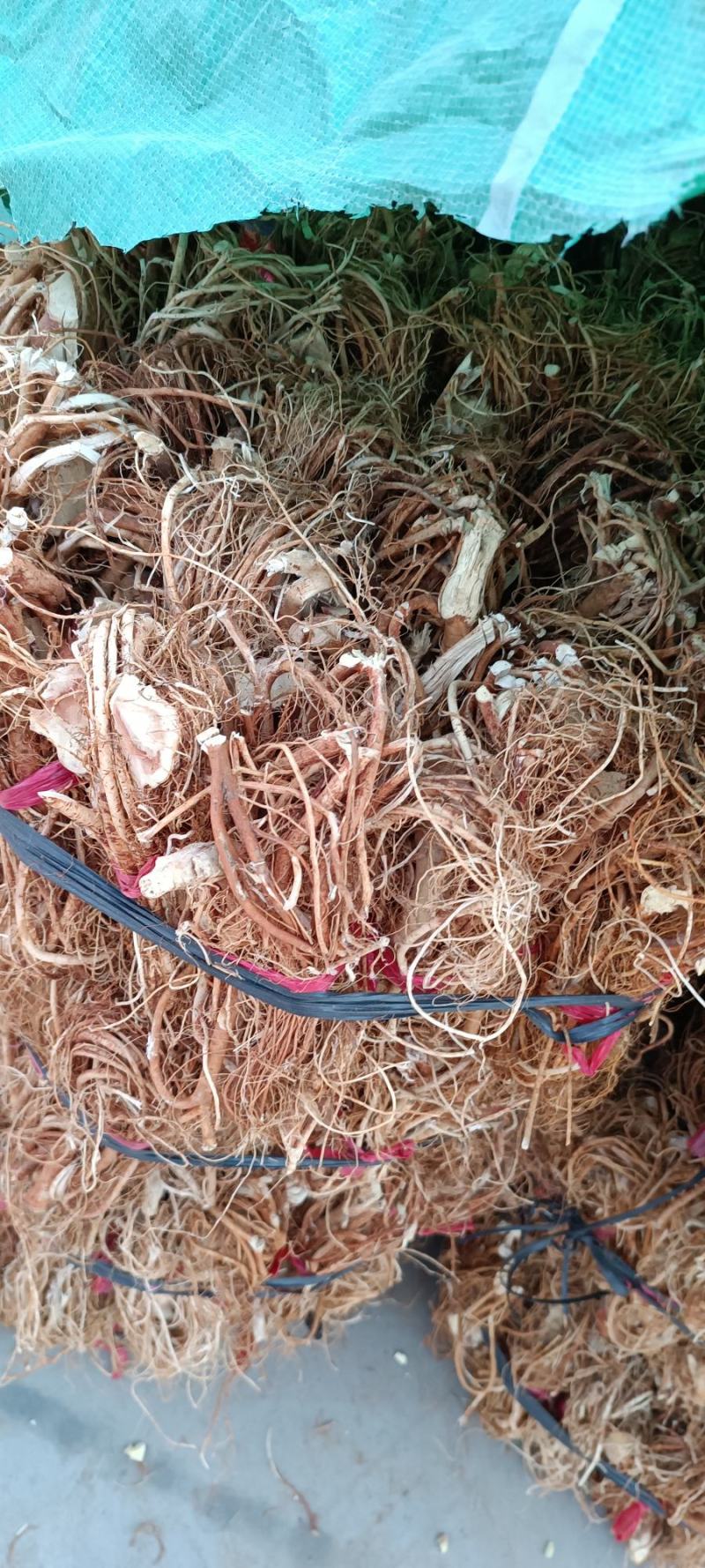 五指毛桃干货，一手源产地，香味浓，无硫，手工漂亮
