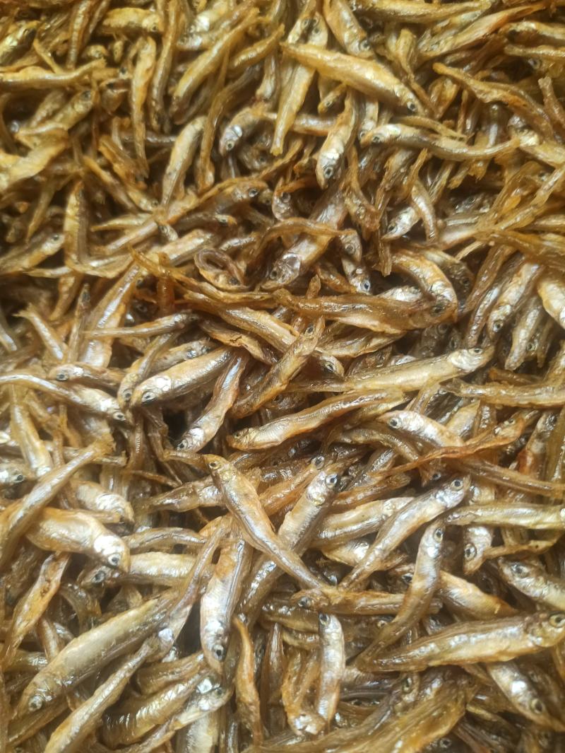 油炸淡水大小公鱼，餐桌必备，好吃美味。好吃不苦。