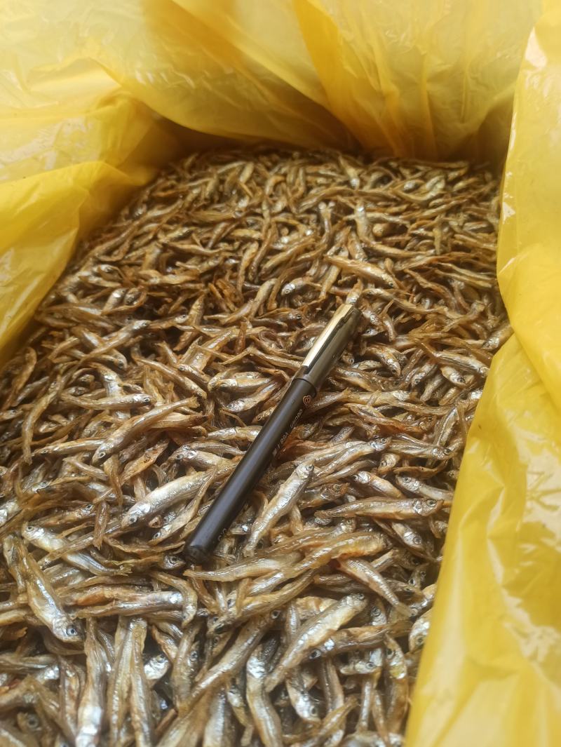 油炸淡水大小公鱼，餐桌必备，好吃美味。好吃不苦。