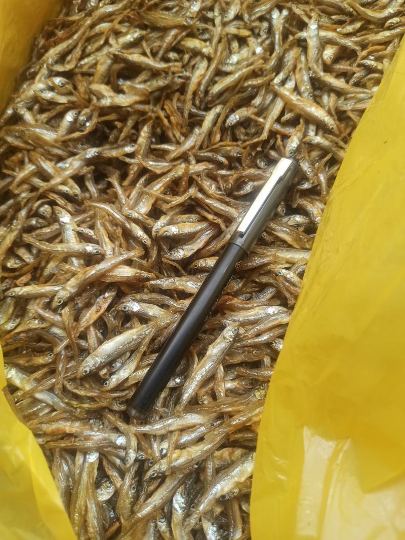 油炸淡水大小公鱼，餐桌必备，好吃美味。好吃不苦。
