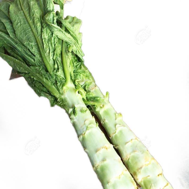 【精品】莴笋大量上市，欢迎新老顾客进店咨询选购。