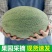 【西州蜜】精品西州蜜瓜新鲜采摘皮薄肉厚欢迎采购