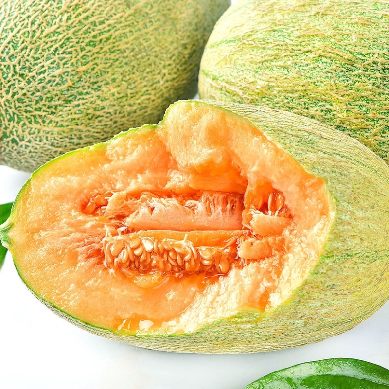 【西州蜜】精品西州蜜瓜新鲜采摘皮薄肉厚欢迎采购