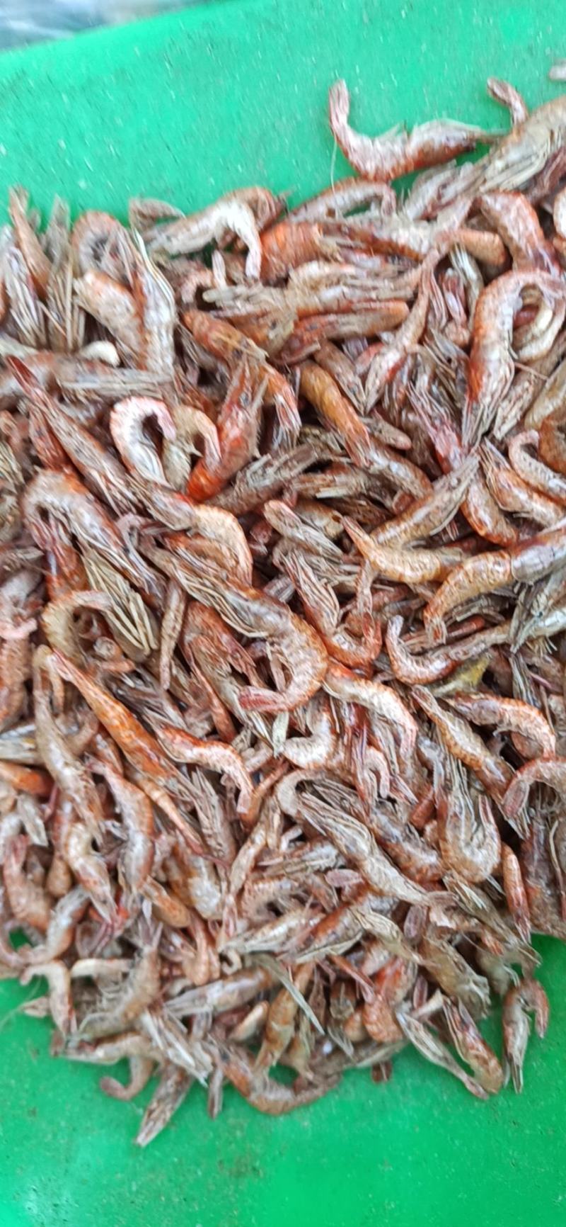 生晒洪泽湖大红虾好吃美味下锅超红好吃鲜美
