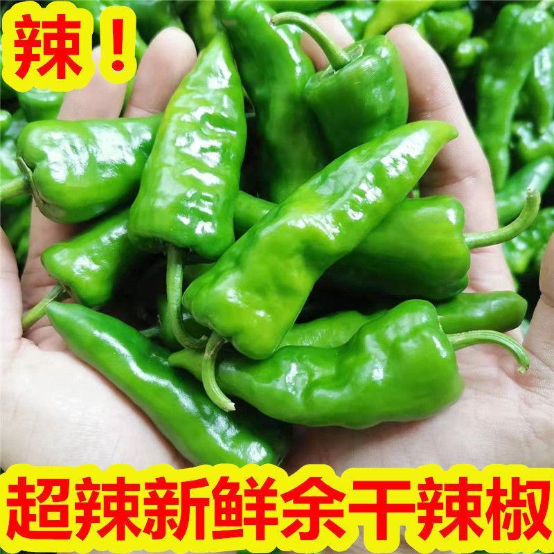 余干丰收辣椒皮薄。超辣，肉厚皮薄