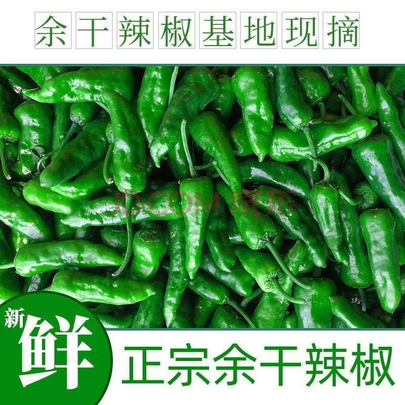 余干丰收辣椒皮薄。超辣，肉厚皮薄