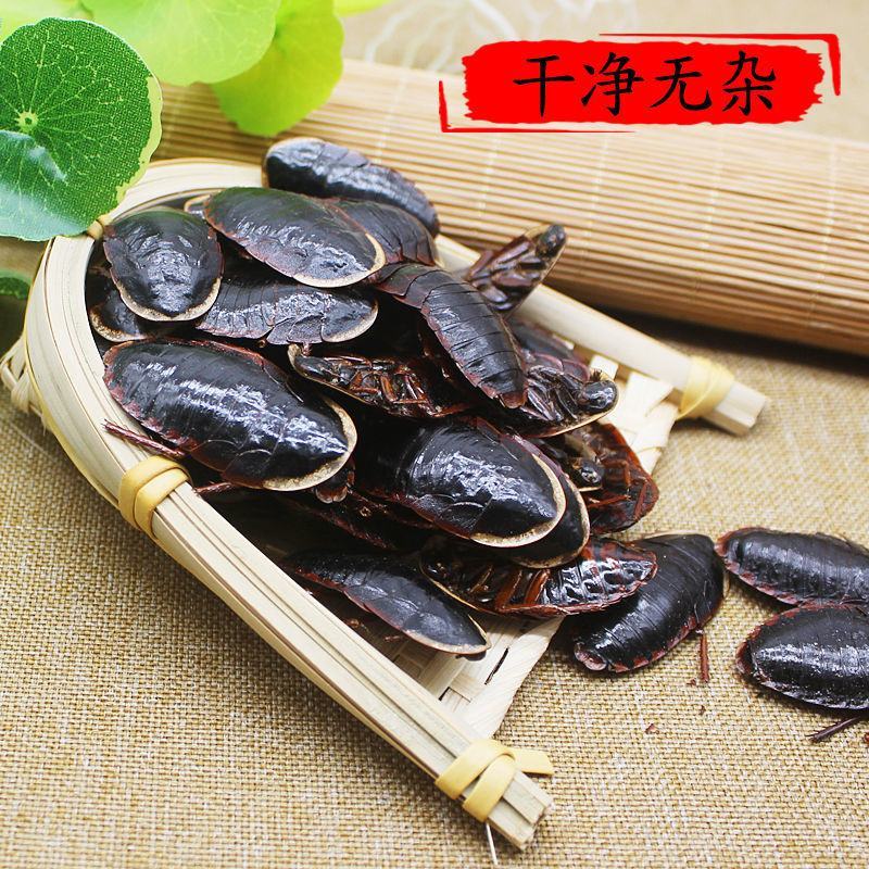 金边土鳖虫金边土元大个广西野生土元土鳖虫磨粉
