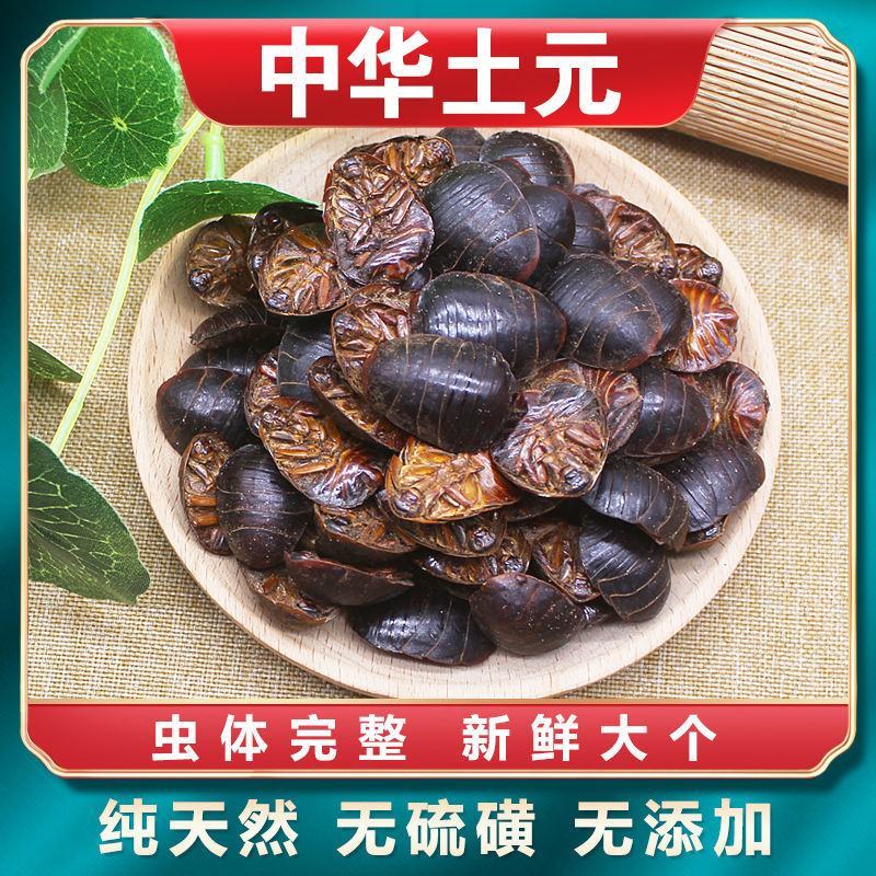 金边土鳖虫金边土元大个广西野生土元土鳖虫磨粉