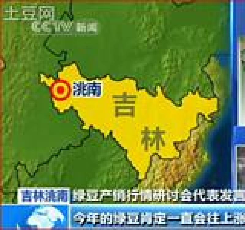 食品绿豆下料白城绿豆磨面绿豆拉粉去皮用的绿豆便宜东北绿豆